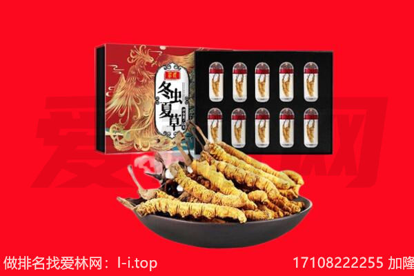 盐城市大丰回收虫草.jpg